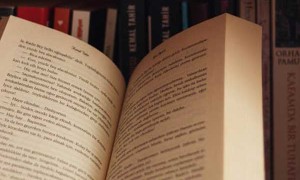 娄底教师招聘考试报名条件要求