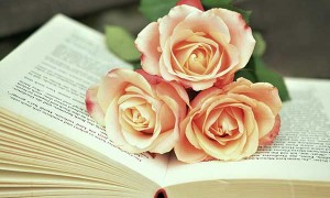 绍兴教师招聘考试报名条件要求