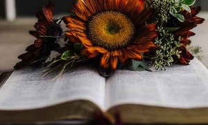 曲阜考研机构报名费用大概是多少钱