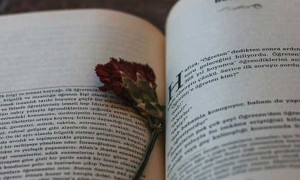 邢台考研机构报名费用大概是多少钱