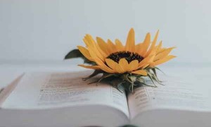 朔州考研机构报名费用大概是多少钱