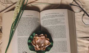 兰州考研机构报名费用大概是多少钱