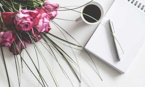 漯河教师招聘考试报名条件要求