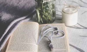 梧州教师招聘考试报名条件要求