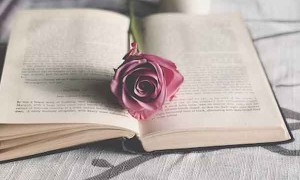 泸州教师招聘考试报名条件要求