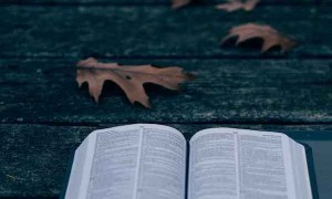 温州怎样申请出国留学