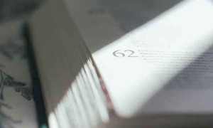 吴忠教师招聘考试报名条件要求