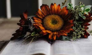 安康教师招聘考试报名条件要求