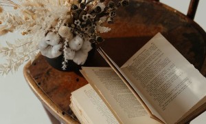 石嘴山教师招聘考试报名条件要求