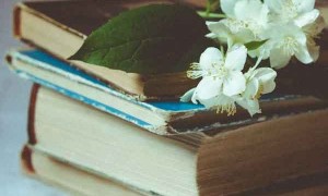 广安教师招聘考试报名条件要求