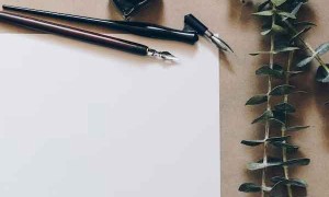 宁夏教师招聘考试报名条件要求