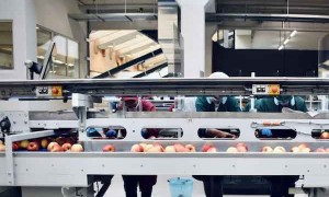 宿州自动化工程师证怎么考多少钱