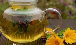 南京哪里有中医师承培训？