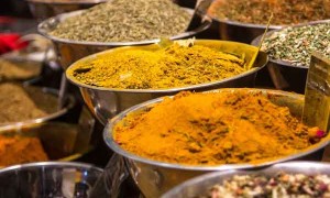 宁波哪里有中医师承培训？