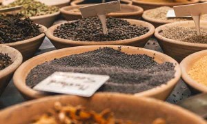 温州哪里有中医师承培训？