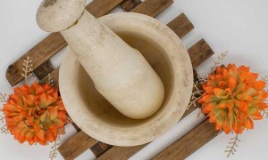 三明哪里有中医师承培训？