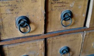 许昌哪里有中医师承培训？