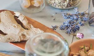 衡水哪里有中医师承培训？