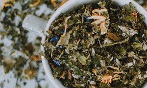 金华哪里有中医师承培训？