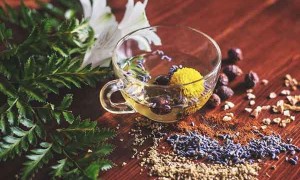 扬州哪里有中医师承培训？