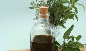 江苏哪里有中医师承培训？