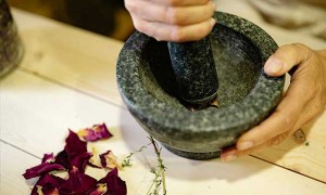 钦州哪里有中医师承培训？