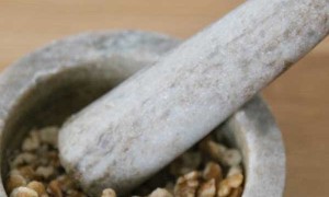 河池哪里有中医师承培训？