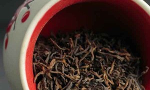 嘉兴哪里有中医师承培训？