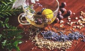 信阳哪里有中医师承培训？