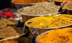 柳州哪里有中医师承培训？