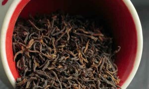 漯河哪里有中医师承培训？