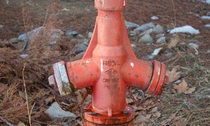 消控证报名费多少钱？具体收费明细