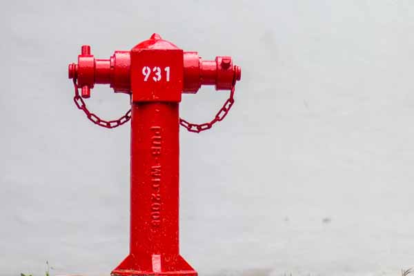 消防设施操作员证书查询官方网站及具体流程