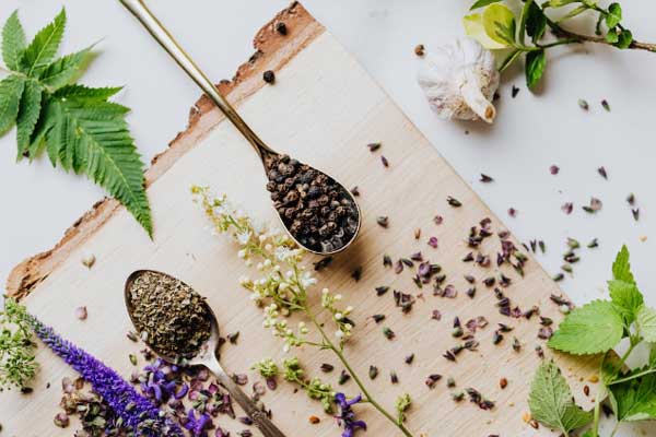 黑龙江中医专长医师资格证报考条件和时间