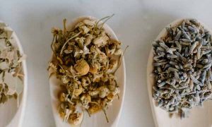 浙江中医专长医师资格证报考条件和时间