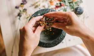 嘉兴中医专长医师资格证报考条件和时间