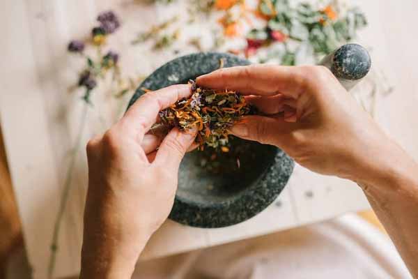 嘉兴中医专长医师资格证报考条件和时间