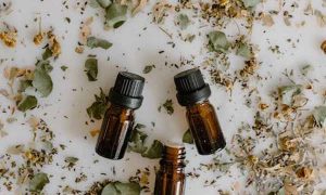 江苏中医专长医师资格证报考条件和时间