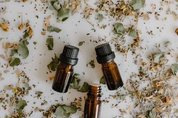 江苏中医专长医师资格证报考条件和时间