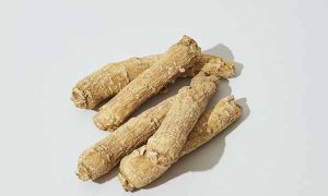 泉州中医专长医师资格证报考条件和时间