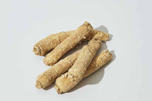 泉州中医专长医师资格证报考条件和时间