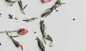 宁德中医专长医师资格证报考条件和时间