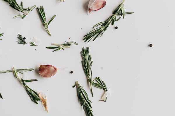 宁德中医专长医师资格证报考条件和时间