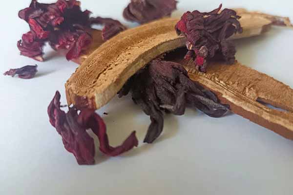 陕西中医专长医师资格证报考条件和时间