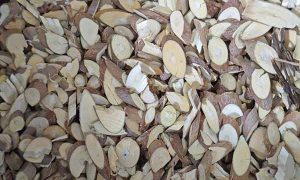 吴忠中医专长医师资格证报考条件和时间