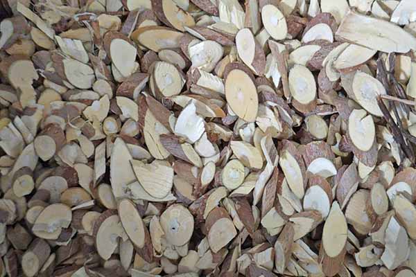 吴忠中医专长医师资格证报考条件和时间