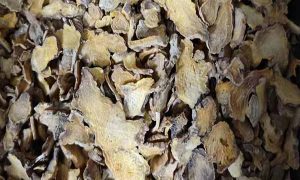 延安中医专长医师资格证报考条件和时间