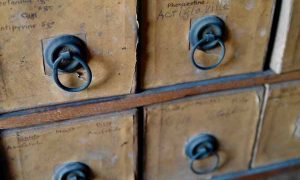 商洛中医专长医师资格证报考条件和时间