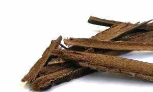 海口中医专长医师资格证报考条件和时间