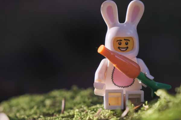 东莞童程童美少儿编程怎样收费，附价目表